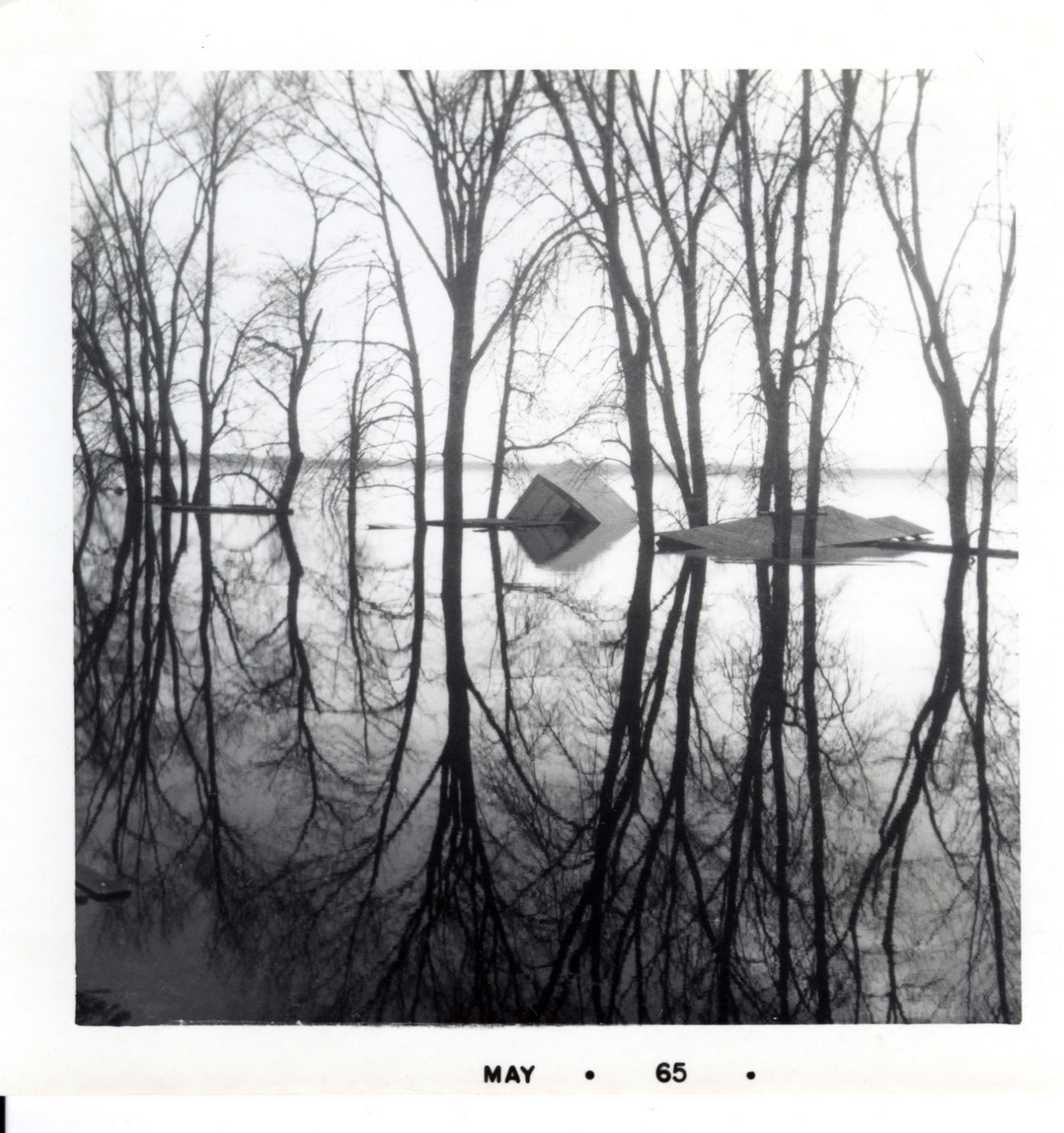 Pieces of the Past - 1965 Flood